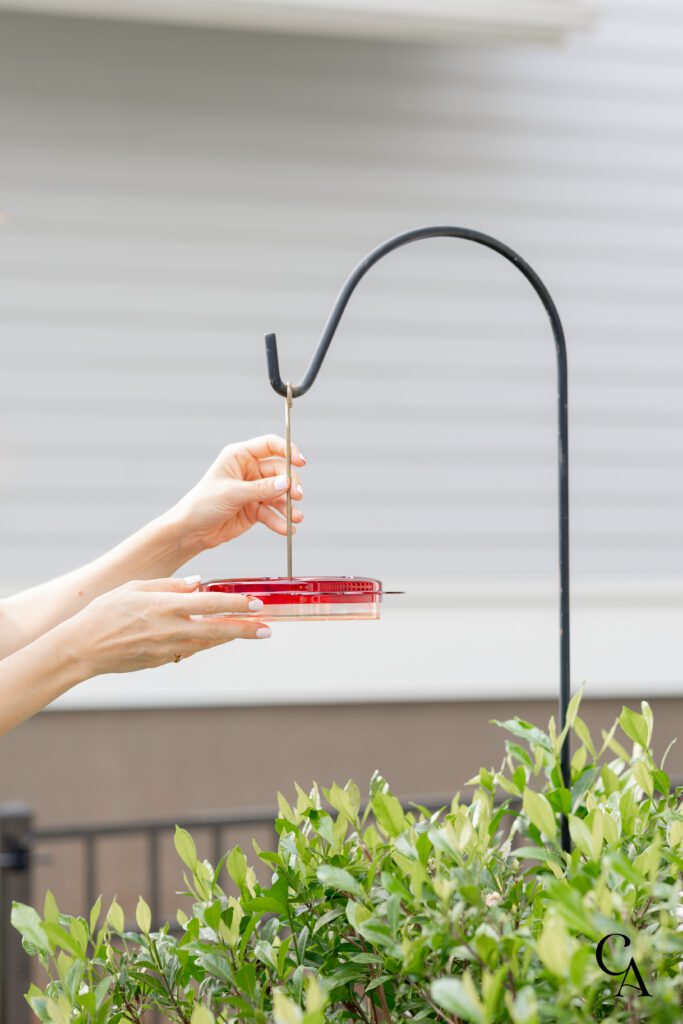 Two hands hanging a tray style hummingbird feeder on a shepherds hook over a gardenia bush.
