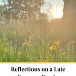 A field of yellow wildflowers with the sun setting behind them and text overlay that says, "Reflections on a Late Summer Day in September."