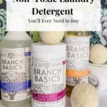Bottles of laundry detergent and dryer balls.