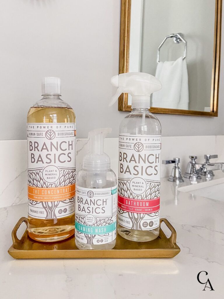 Bottles of cleaning products.