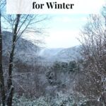 A snowy winter landscape with text that reads "short poems for winter."