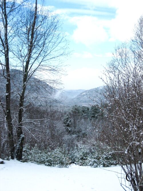 A winter landscape with a mountain view.