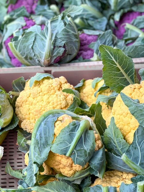 Heads of orange and purple cauliflower in a bin.