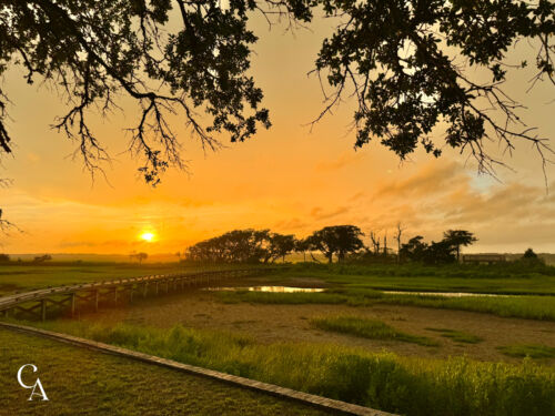 A boardwalk over a coastal marsh at sunset.