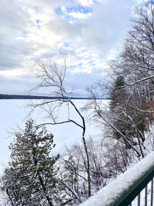 Snow-covered trees along the edge of a frozen Canadian lake in winter.