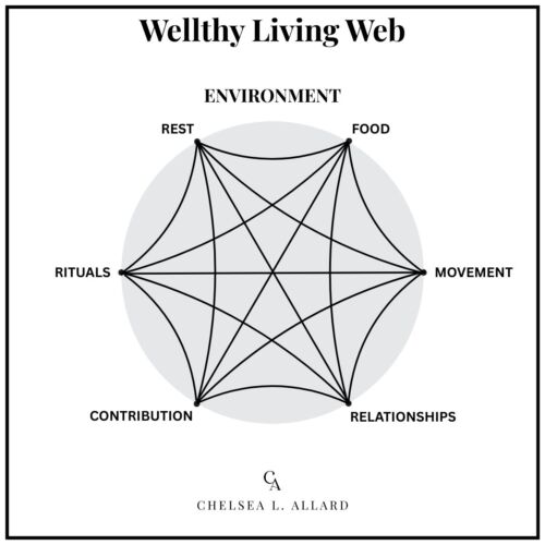 A black and white graphic of a six-pointed web on top of a light grey circle with labels.