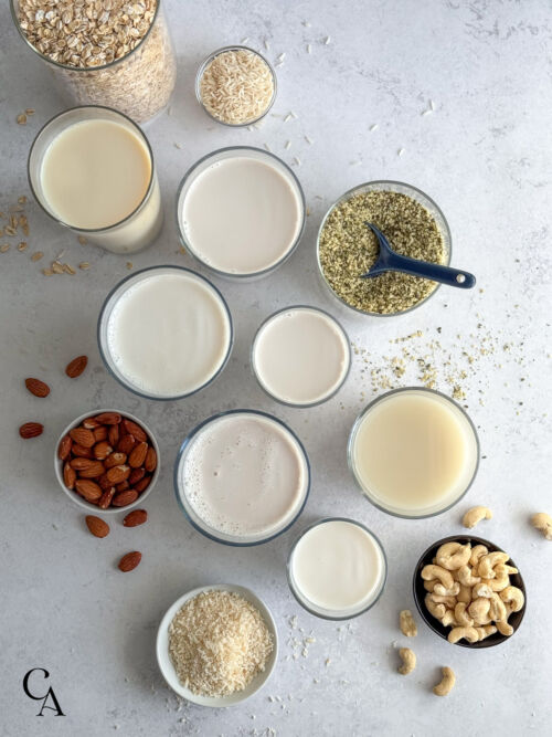 Flat lay of 7 different varieties of non-dairy milk products, mixed with small bowls of nuts, seeds and grains.